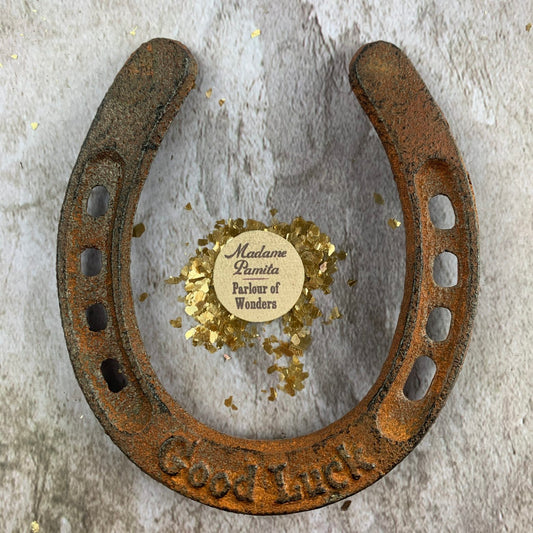 Good Luck Iron Horseshoe